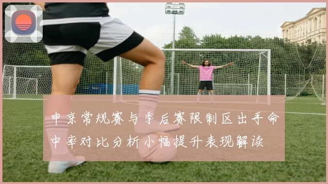 申京常规赛与季后赛限制区出手命中率对比分析小幅提升表现解读