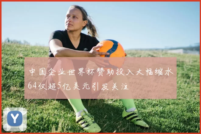 中国企业世界杯赞助投入大幅缩水64仅超5亿美元引发关注