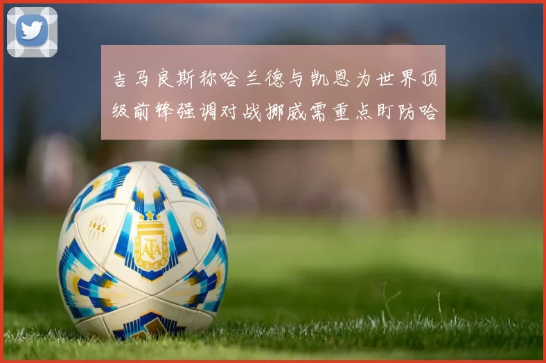 吉马良斯称哈兰德与凯恩为世界顶级前锋强调对战挪威需重点盯防哈兰德